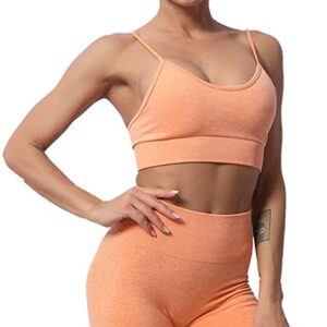 FIREQUEEN Womens Sleeveless Workout Set Outfits 2 Pieces Yoga Set – Seamless Gym Shorts and Bra Sexy Yoga Suits